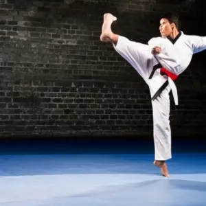 An image capturing a determined taekwondo practitioner, executing a flawless roundhouse kick with intense focus